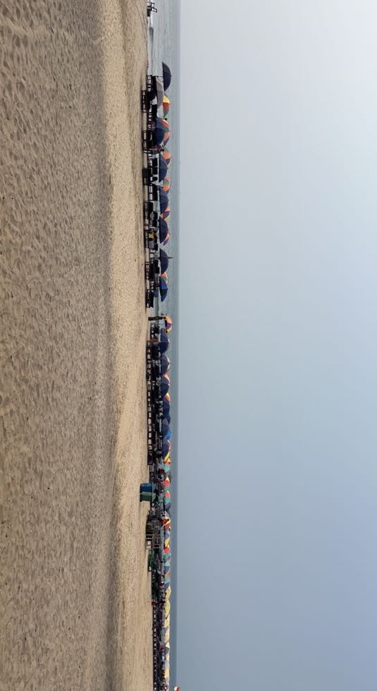 A view of the Arambol beach