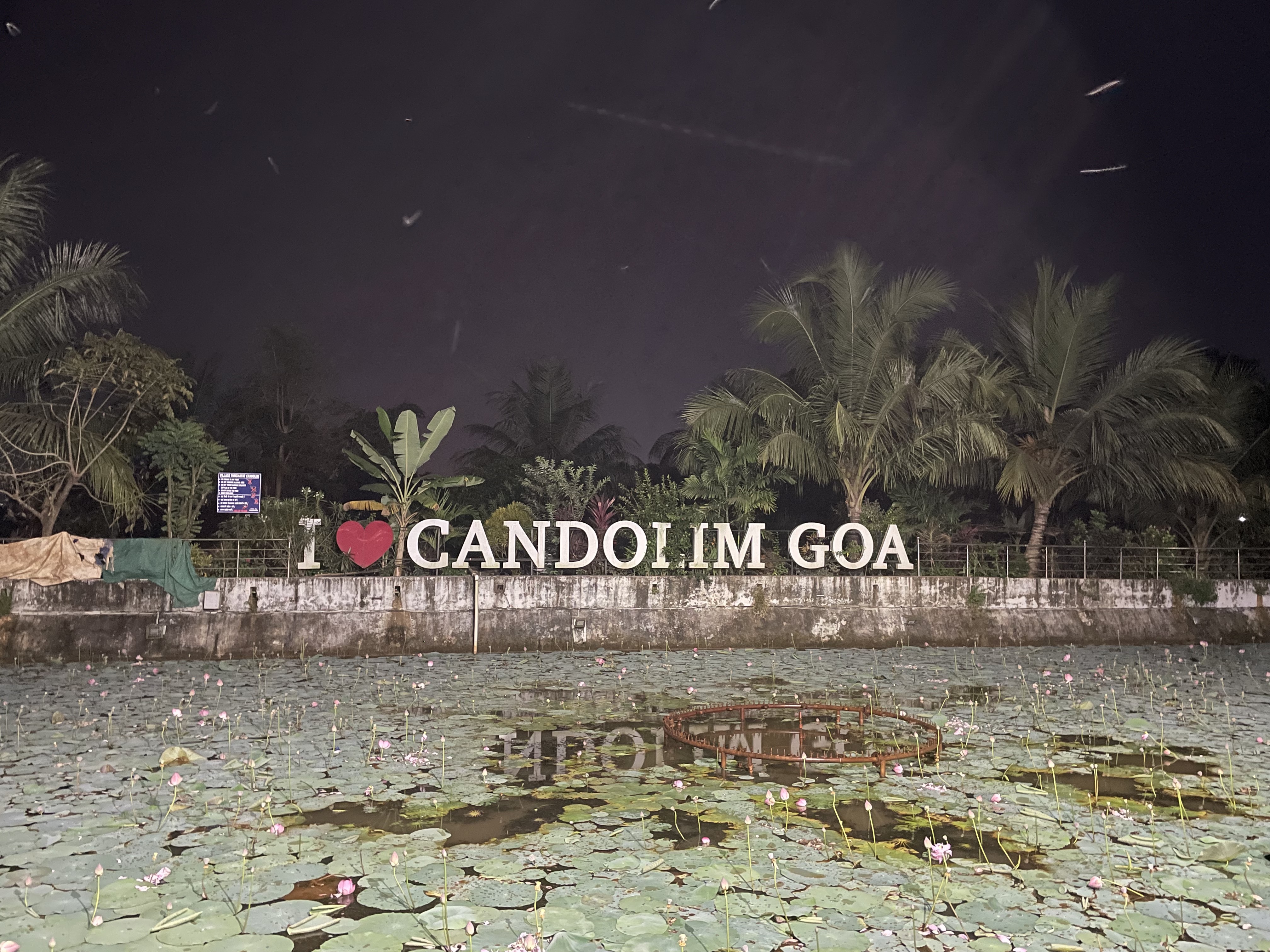 I Love Candolim banner at a pond